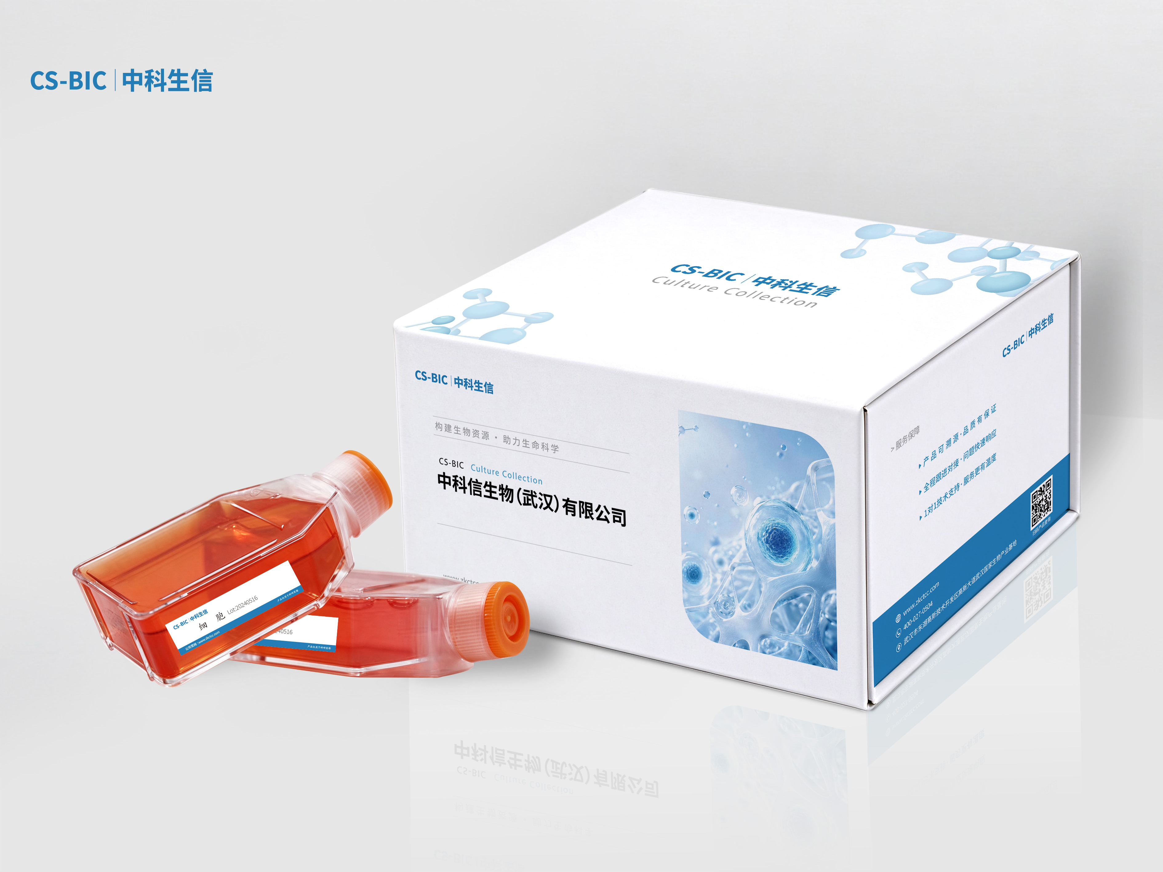 人原代胰腺癌细胞
