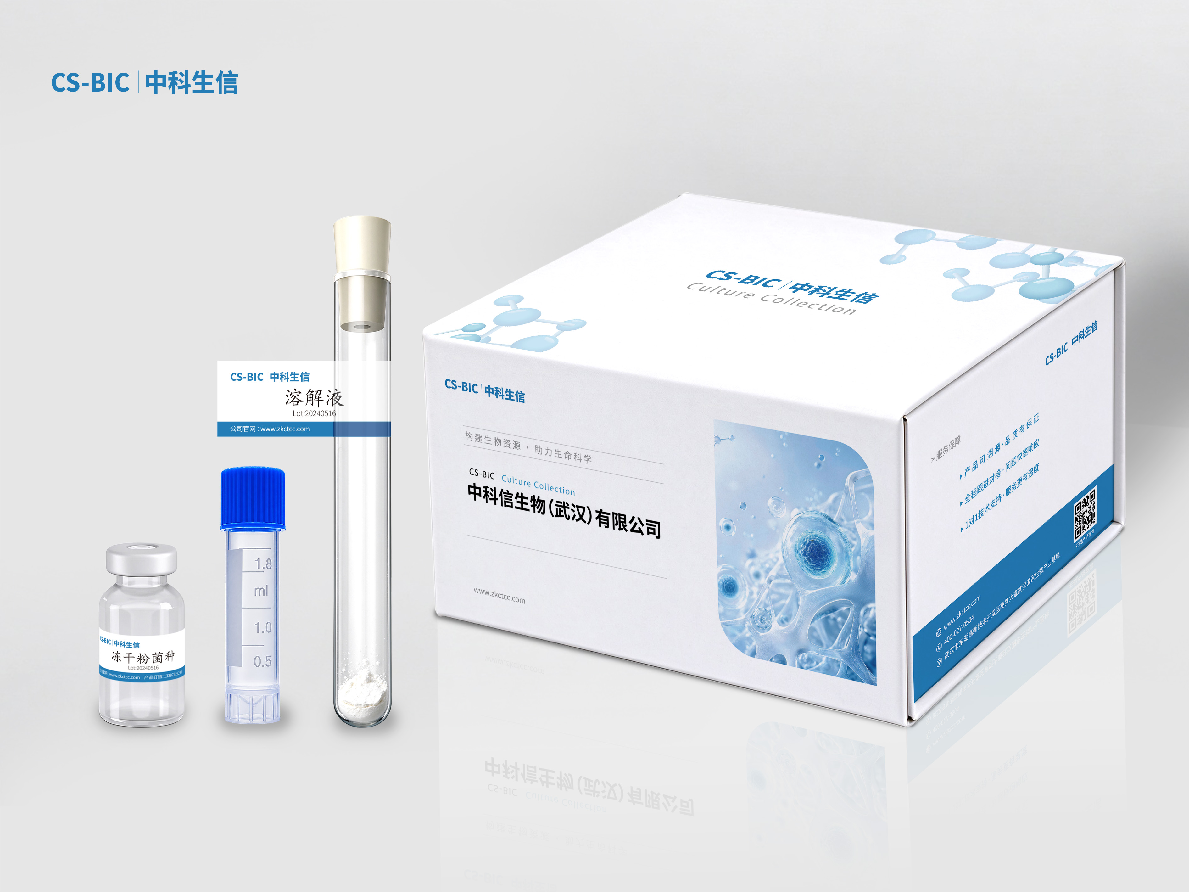 NU-DUL-1人弥漫性组织细胞性淋巴瘤