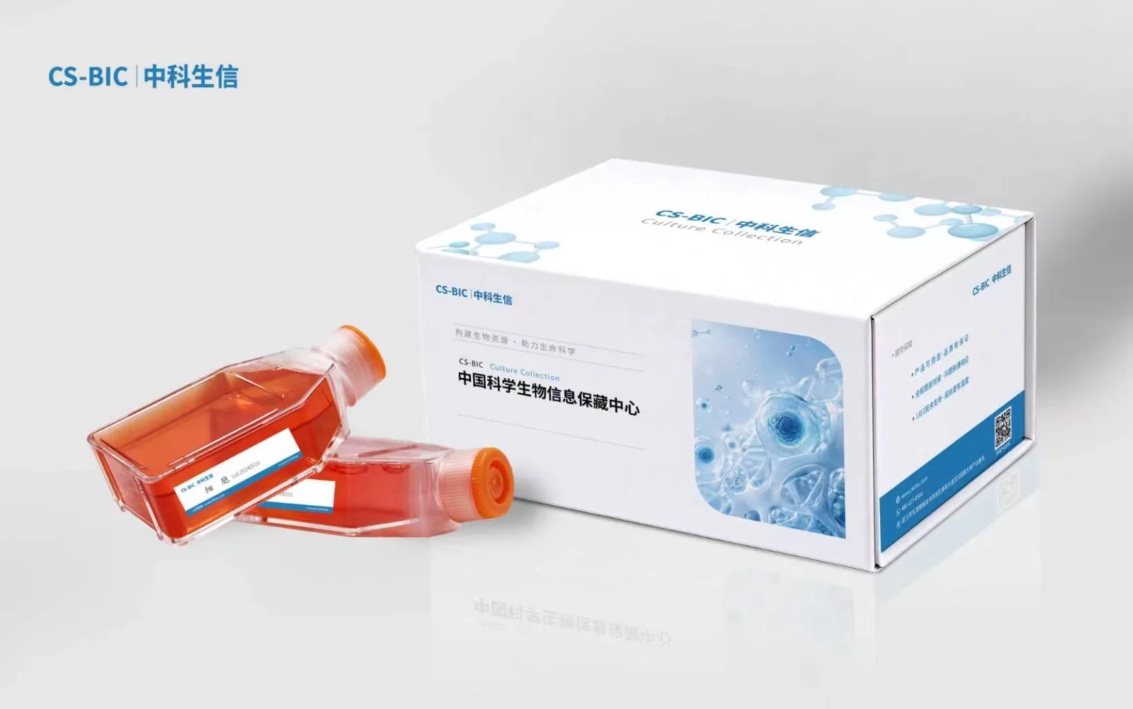 人慢性粒白血病细胞HAP1(STR鉴定正确)