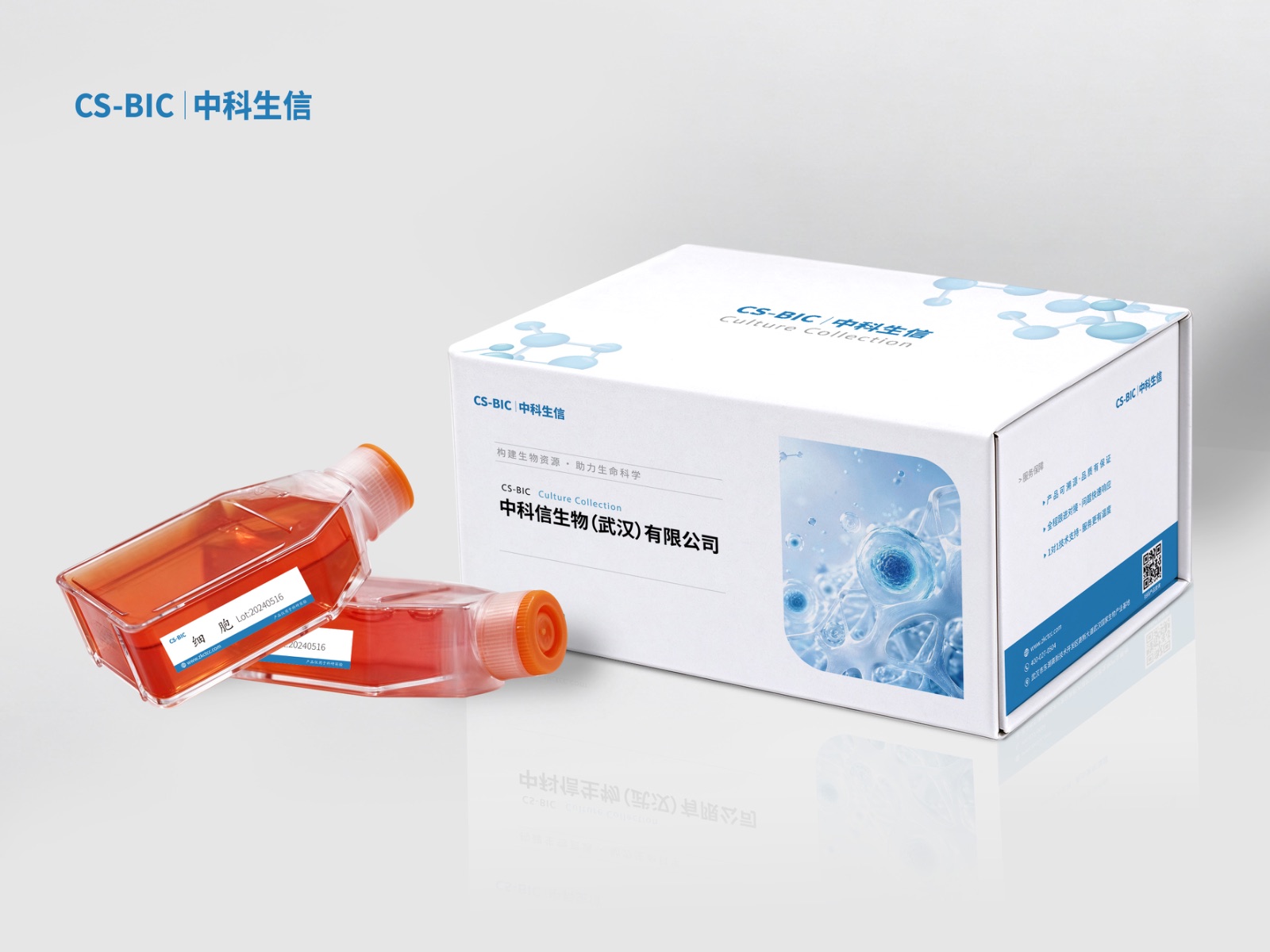 人乳腺导管癌细胞HCC38(STR鉴定正确)