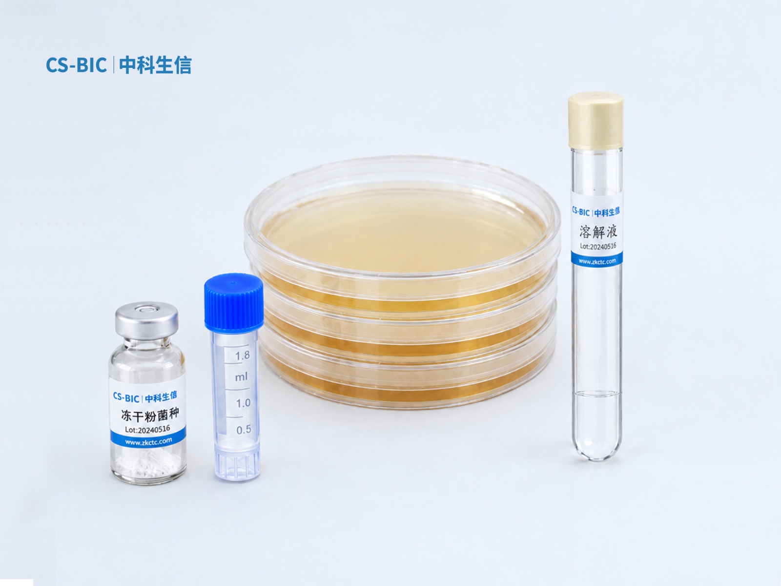 威特弗拉里亚鞘氨醇盒菌